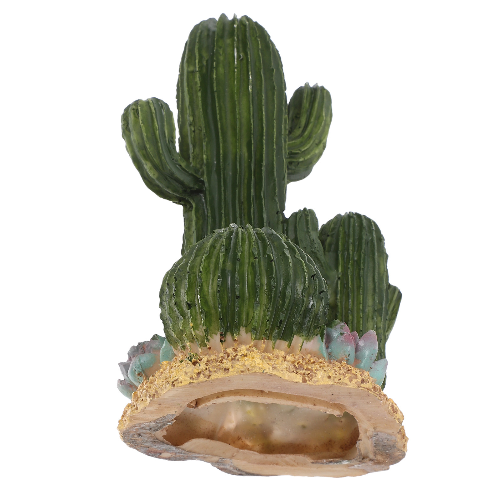 Artificial Cactus Plant Large  - Terrarium Moss Art recension och pris