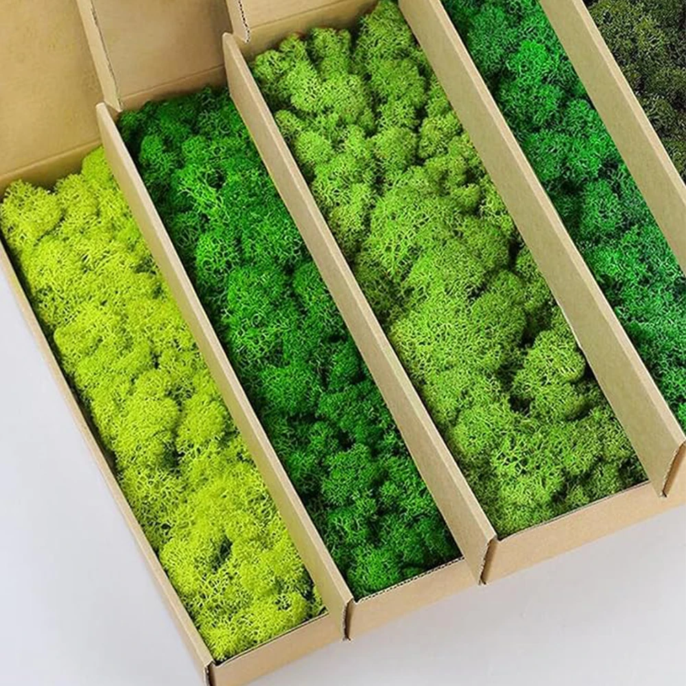 20-200g Artificial Green Plant - Terrarium Moss Art recension och pris