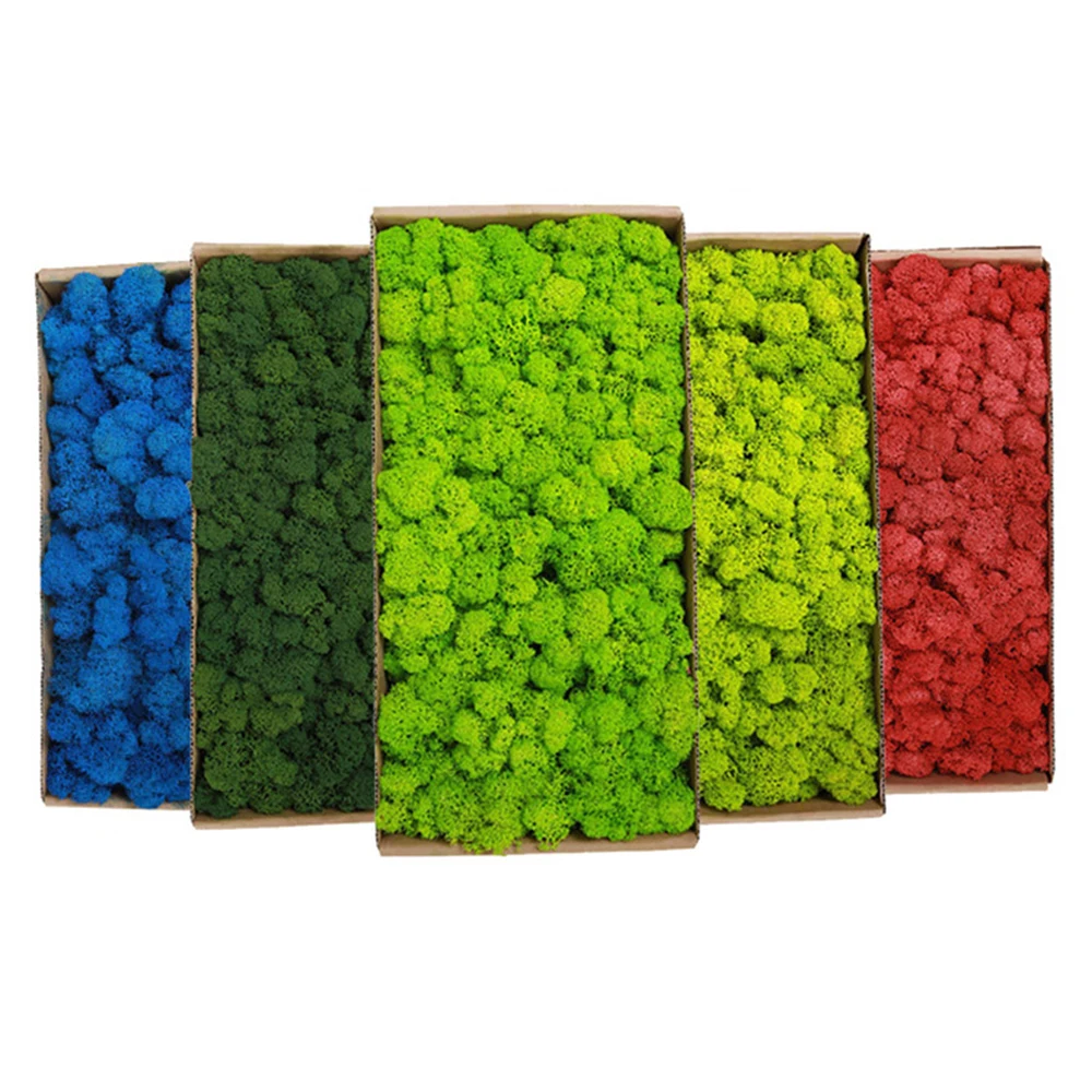 20-200g Artificial Green Plant - Terrarium Moss Art recension och pris