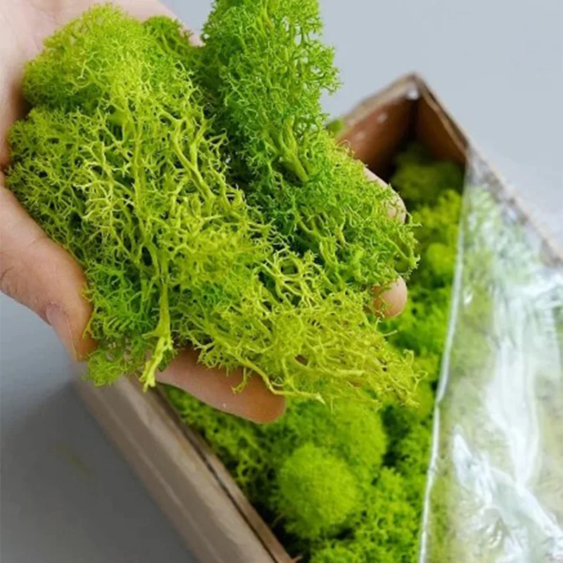 20-200g Artificial Green Plant - Terrarium Moss Art recension och pris