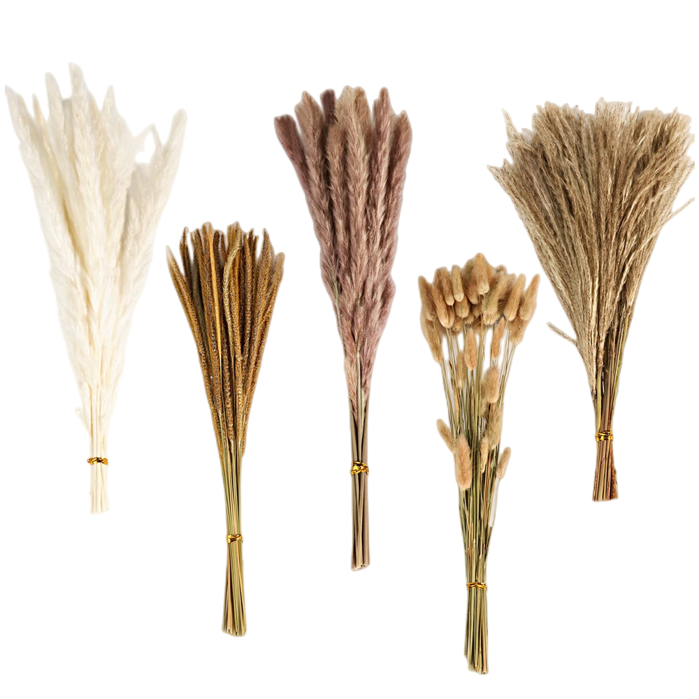 Autumn Vintage Mixed Dried Flo - Dried Flower Bulk recension och pris