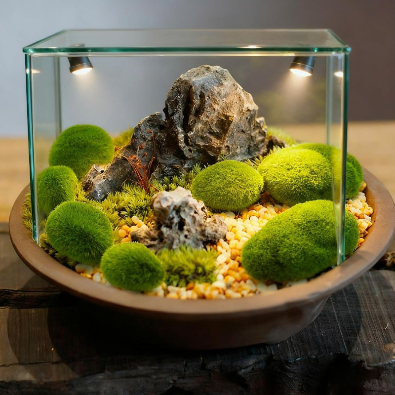 50/5PCS Artificial Foam Moss R - Terrarium Moss Art recension och pris