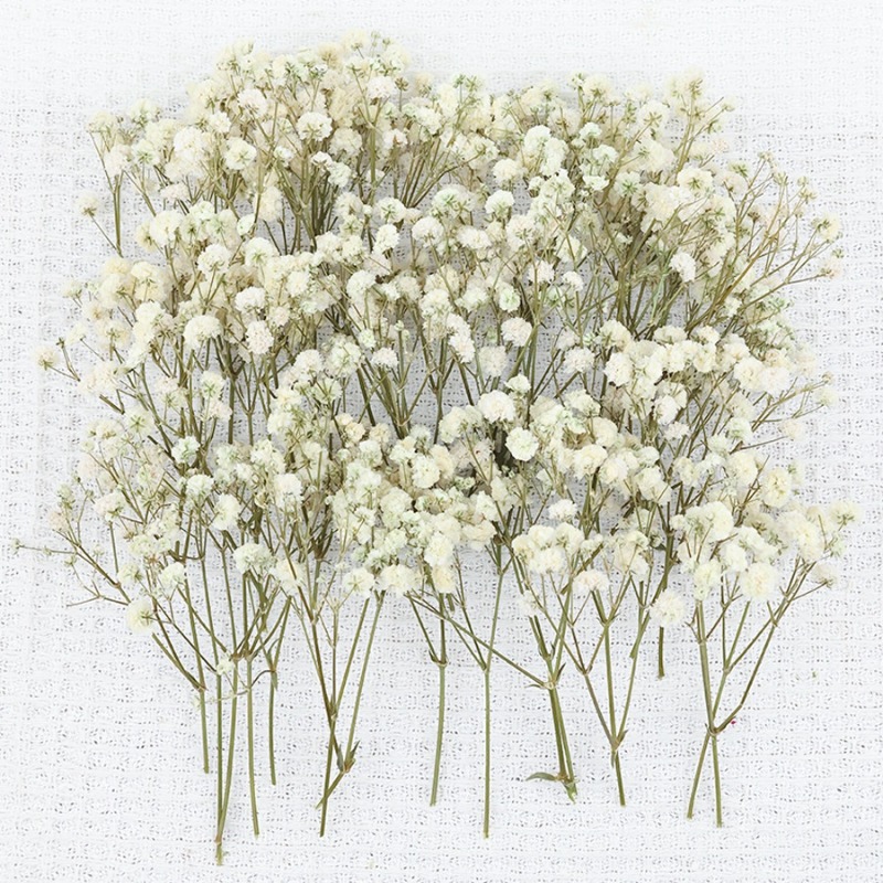 50pcs Natural Dried Gypsophila - Dried Flower Bulk recension och pris