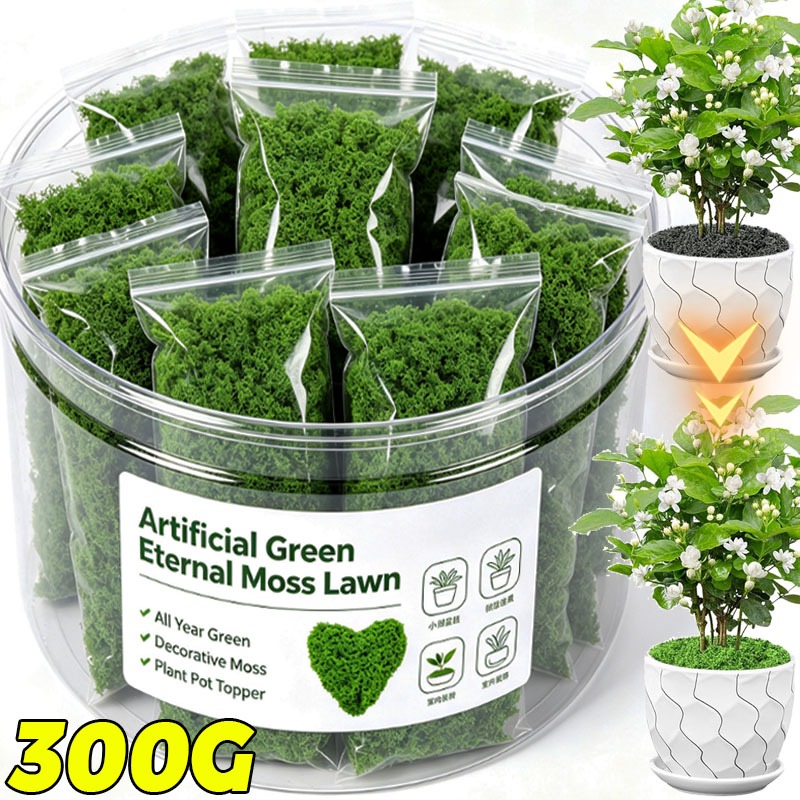 Artificial Green Plants Eterna - Terrarium Moss Art recension och pris