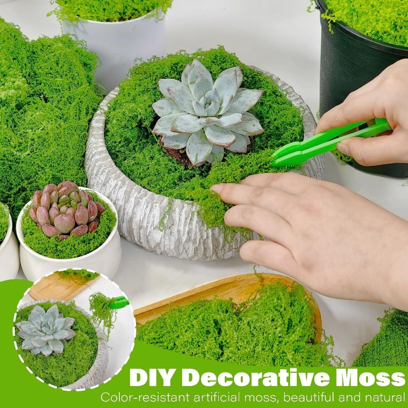 Artificial Green Plants Eterna - Terrarium Moss Art recension och pris